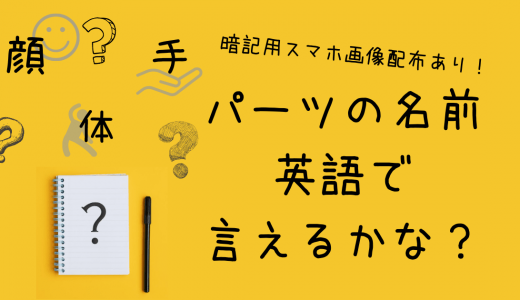 体 顔 手のパーツの名前を英語で言えるかな 押さえておきたいweb知識