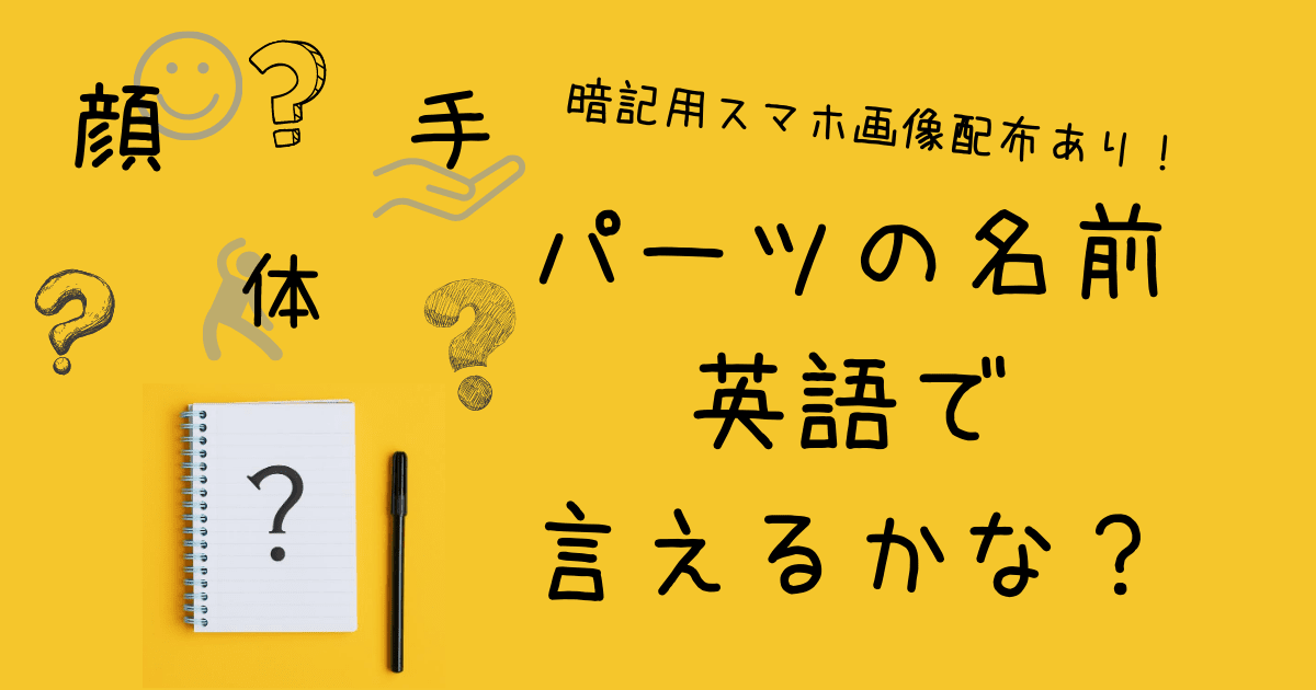 体 顔 手のパーツの名前を英語で言えるかな 押さえておきたいweb知識