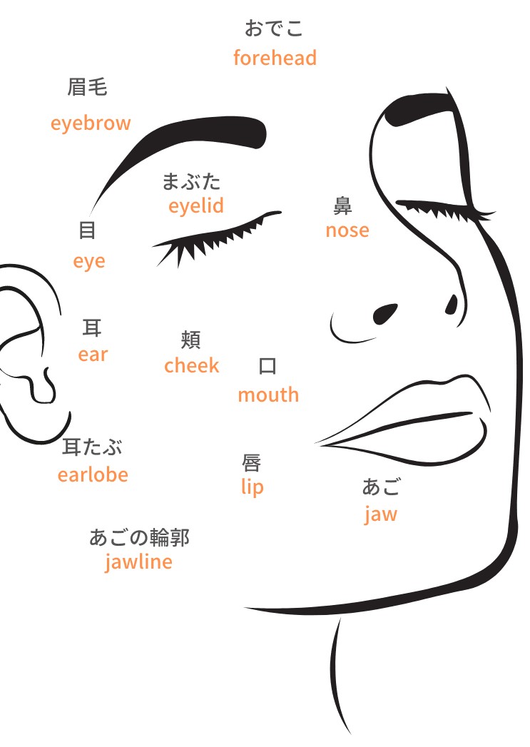 体 顔 手のパーツの名前を英語で言えるかな 押さえておきたいweb知識